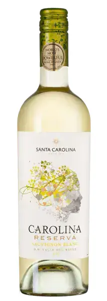 Carolina Reserva Sauvignon Blanc, 0.75
Санта Каролина Ресерва Совиньон Блан, фото 1 из 2