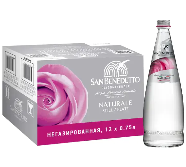 Вода негазированная San Benedetto (12 шт.), 0.75
San Benedetto Сан Бенедетто негаз стекло КОР12, фото 1 из 2
